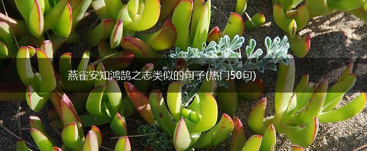 燕雀安知鸿鹄之志类似的句子(热门50句),第1张