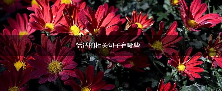 恬适的相关句子有哪些,第1张