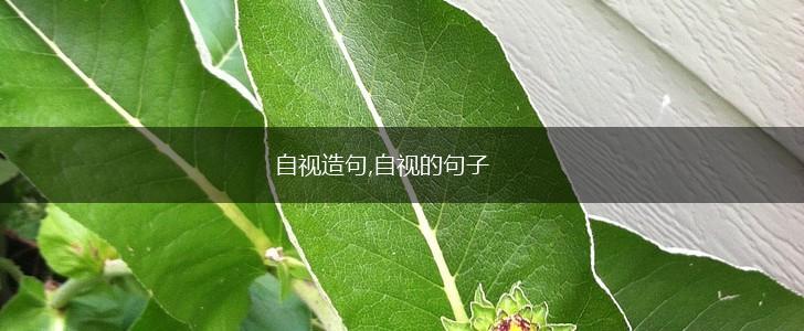 自视造句,自视的句子,第1张