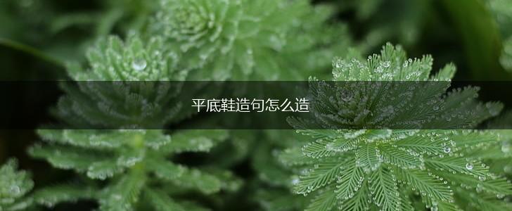 平底鞋造句怎么造,第1张
