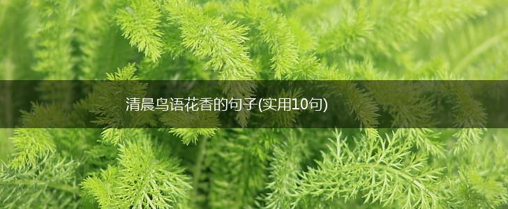 清晨鸟语花香的句子(实用10句),第1张