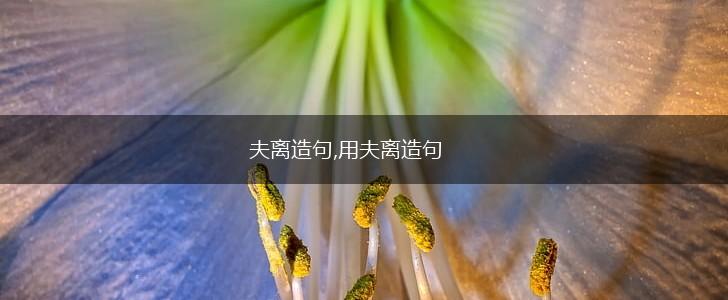 夫离造句,用夫离造句,第1张