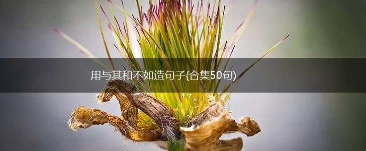 用与其和不如造句子(合集50句),第1张