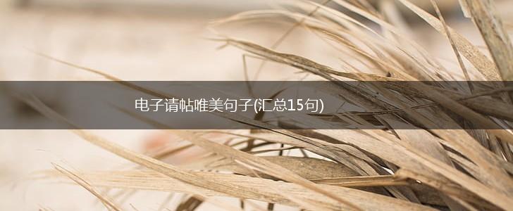电子请帖唯美句子(汇总15句),第1张