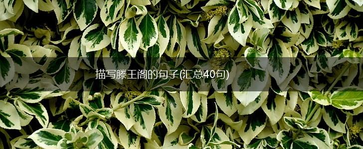 描写滕王阁的句子(汇总40句),第1张