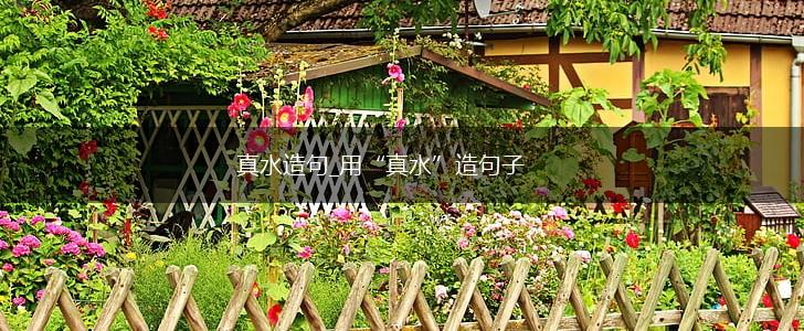 真水造句_用“真水”造句子,第1张