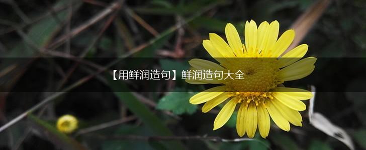 【用鲜润造句】鲜润造句大全,第1张