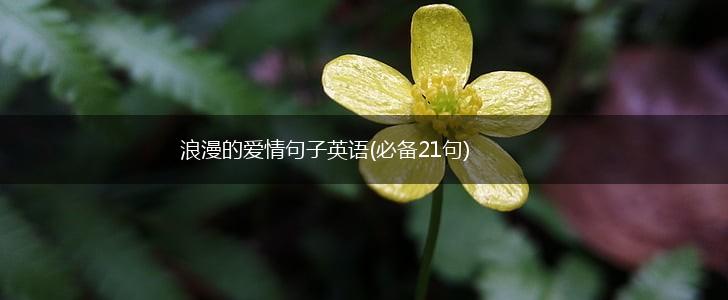 浪漫的爱情句子英语(必备21句),第1张