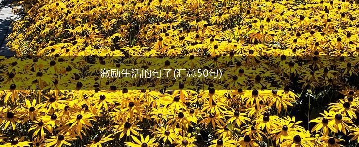 激励生活的句子(汇总50句),第1张