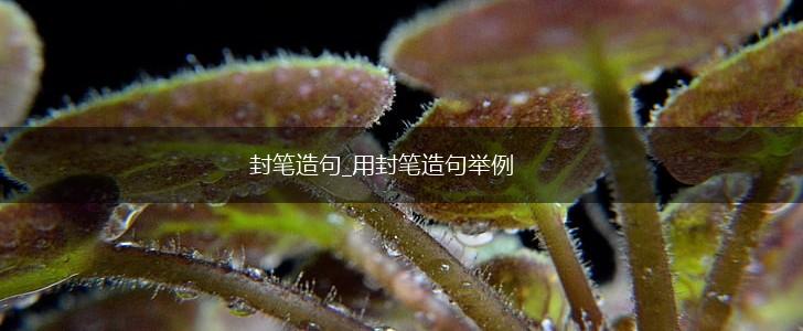 封笔造句_用封笔造句举例,第1张