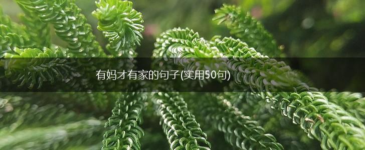 有妈才有家的句子(实用50句),第1张