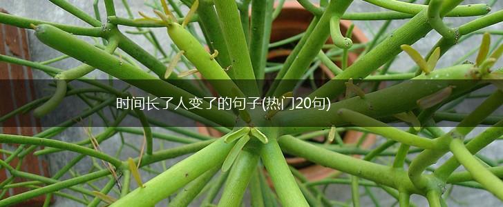 时间长了人变了的句子(热门20句),第1张