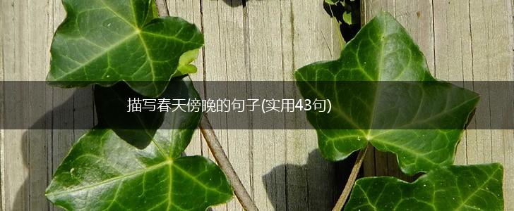 描写春天傍晚的句子(实用43句),第1张