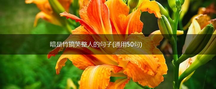 暗是竹搞笑整人的句子(通用50句),第1张