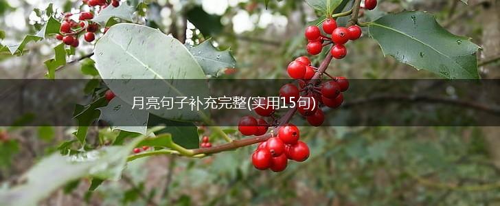 月亮句子补充完整(实用15句),第1张