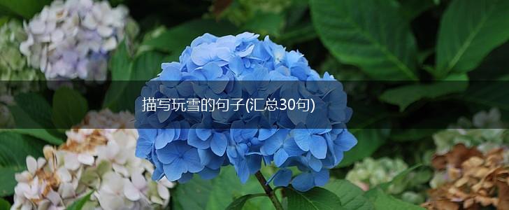 描写玩雪的句子(汇总30句),第1张