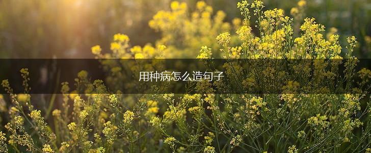 用种病怎么造句子,第1张