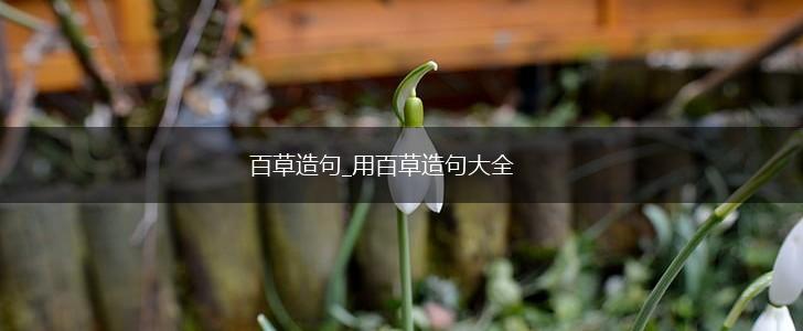 百草造句_用百草造句大全,第1张