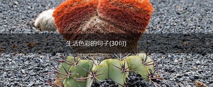 生活色彩的句子(30句),第1张