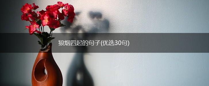 狼烟四起的句子(优选30句),第1张