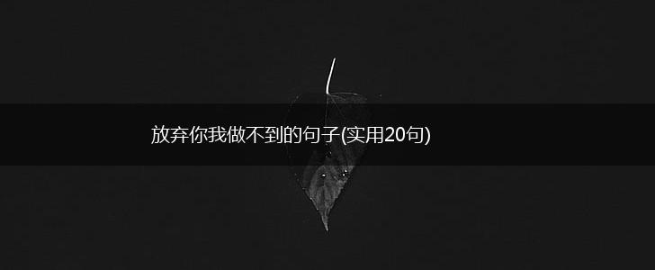 放弃你我做不到的句子(实用20句),第1张