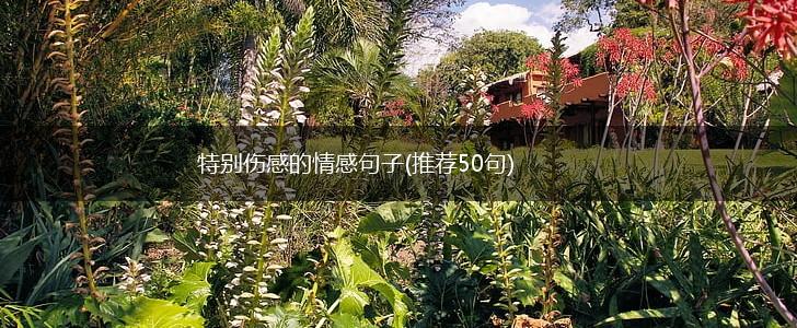 特别伤感的情感句子(推荐50句),第1张