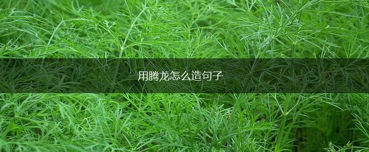 用腾龙怎么造句子,第1张
