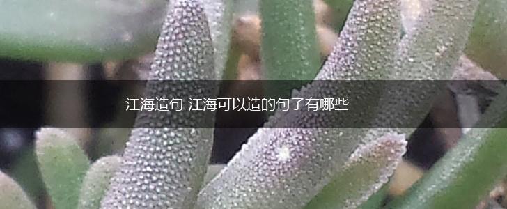 江海造句 江海可以造的句子有哪些,第1张