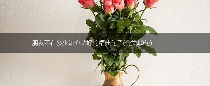 朋友不在多少知心就好的精典句子(合集10句),第1张