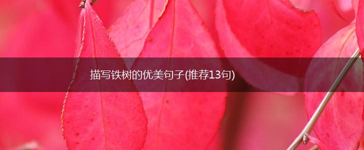 描写铁树的优美句子(推荐13句),第1张
