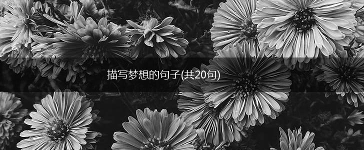 描写梦想的句子(共20句),第1张