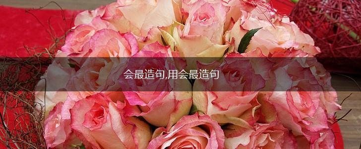 会最造句,用会最造句,第1张