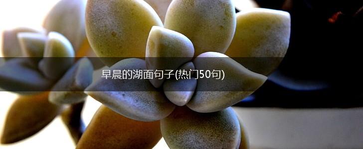 早晨的湖面句子(热门50句),第1张