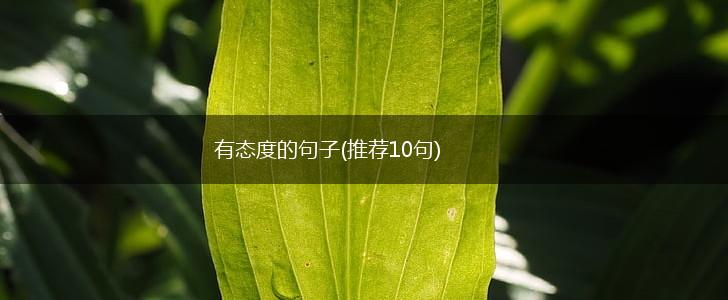 有态度的句子(推荐10句),第1张