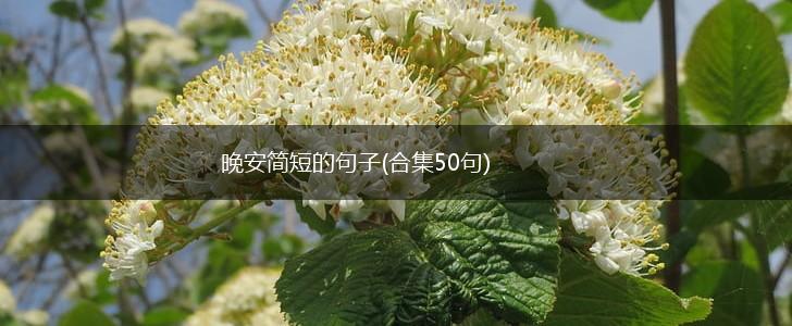 晚安简短的句子(合集50句),第1张