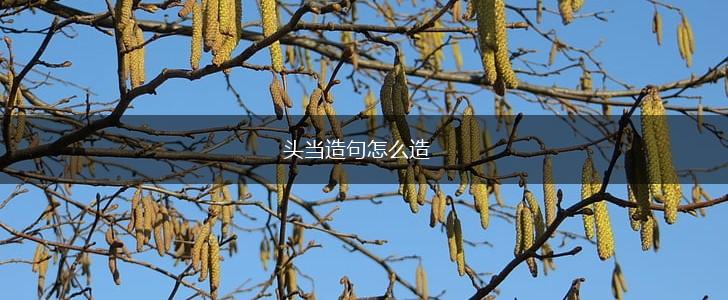 头当造句怎么造,第1张