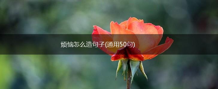 烦恼怎么造句子(通用50句),第1张