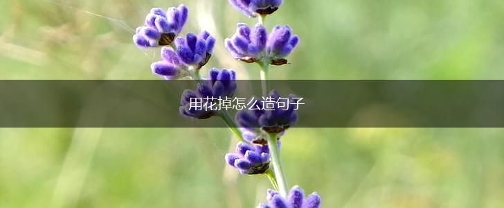 用花掉怎么造句子,第1张