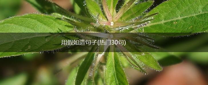 用假如造句子(热门30句),第1张