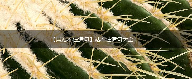 【用站不住造句】站不住造句大全,第1张