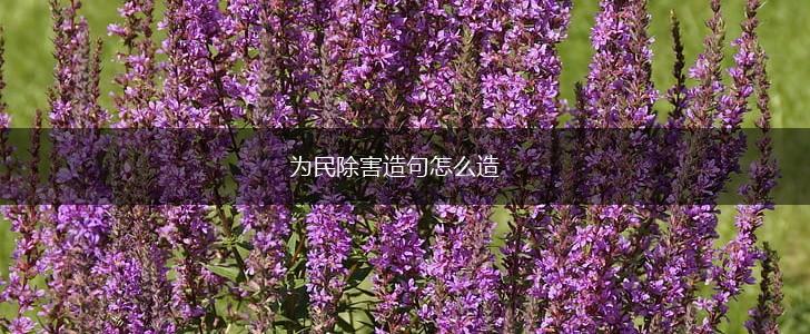 为民除害造句怎么造,第1张