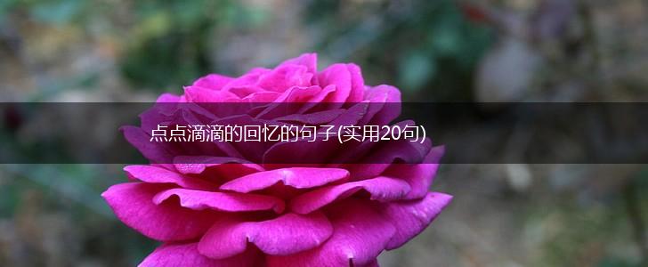 点点滴滴的回忆的句子(实用20句),第1张
