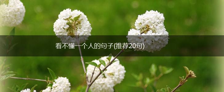 看不懂一个人的句子(推荐20句),第1张