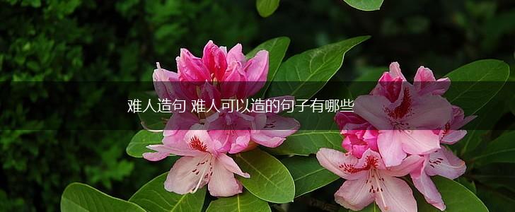 难人造句 难人可以造的句子有哪些,第1张