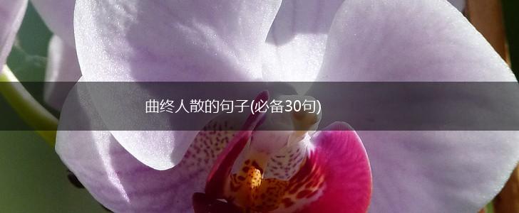 曲终人散的句子(必备30句),第1张