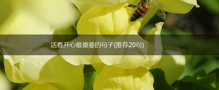 活着开心最重要的句子(推荐20句),第1张