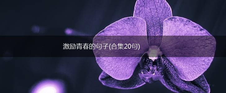 激励青春的句子(合集20句),第1张