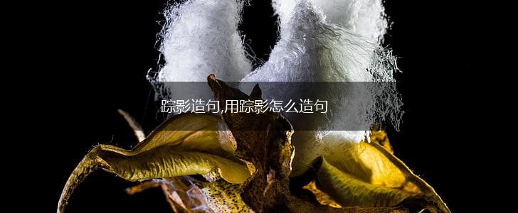 踪影造句,用踪影怎么造句,第1张