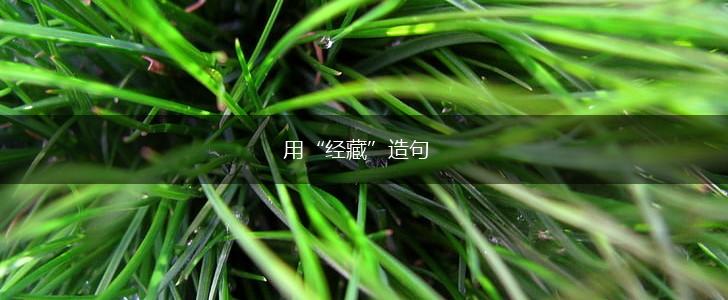 用“经藏”造句,第1张