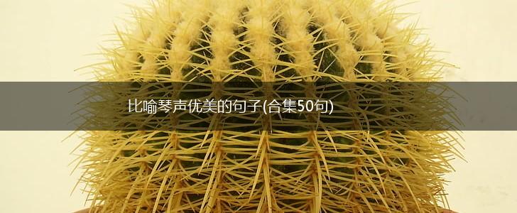 比喻琴声优美的句子(合集50句),第1张